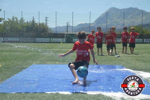 DSC 0137 (1) (1)