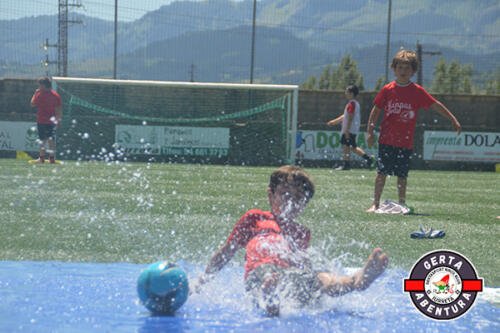DSC 0142 (1) (1)