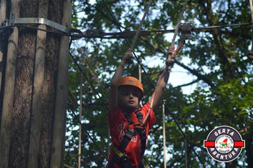 DSC 0181 (1) (1) (1)