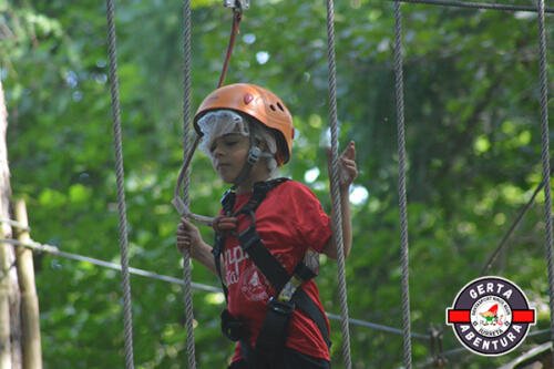 DSC 0184 (1) (1) (1)
