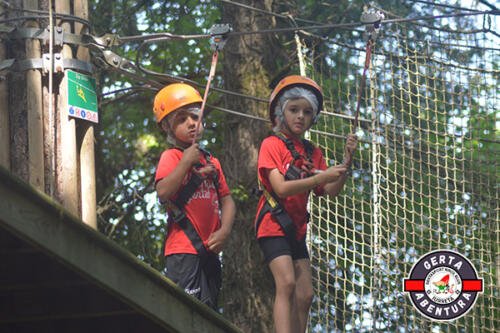 DSC 0217 (1) (1)