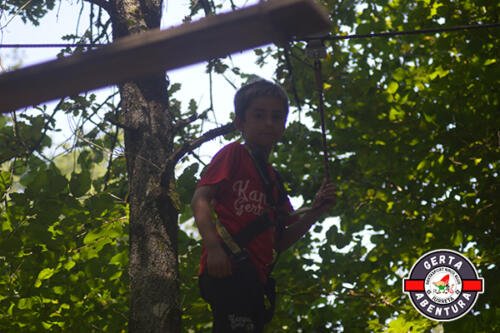 DSC 0229 (1) (1)