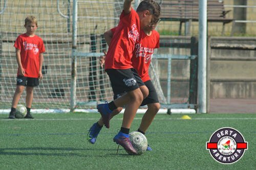 DSC 0290 (1) (1)